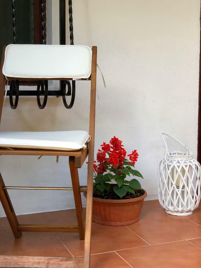קוטור Apartment Nicolas מראה חיצוני תמונה